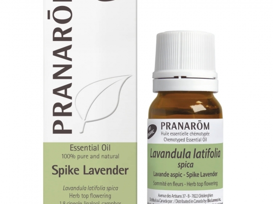 Spike Lavender 10ml