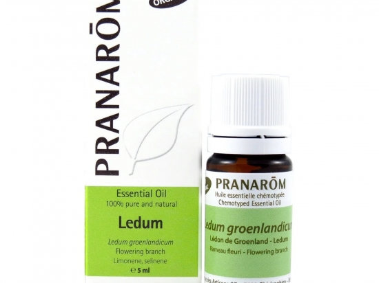 Ledum 5ml