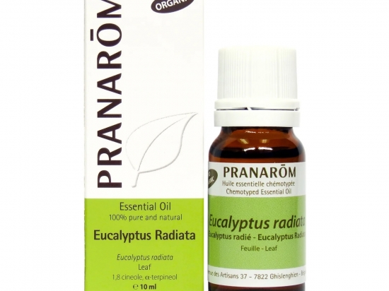 Eucalyptus Radiata 10ml