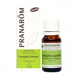 Eucalyptus Globulus 10ml