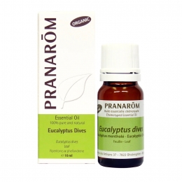 Eucalyptus Dives 10ml