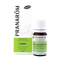 Ledum 5ml