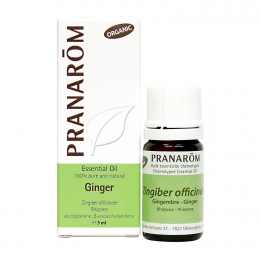 Ginger 5ml