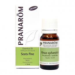 Scots Pine 10ml