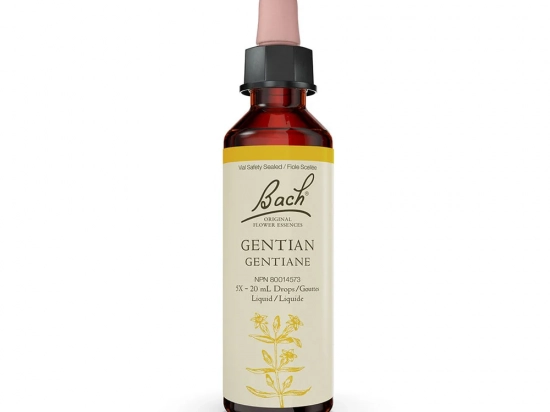 Bach flower remedy - Gentian