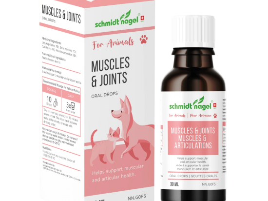 Muscles & joints for Animals