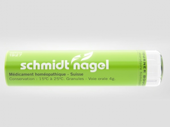 Comocladia - Schmidt-Nagel