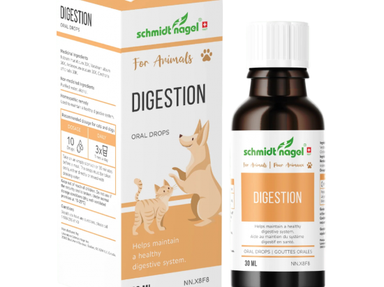 Digestion for Animals