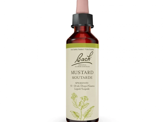 Bach flower remedy - Mustard