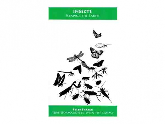 Insects - Escaping the Earth - Peter Fraser
