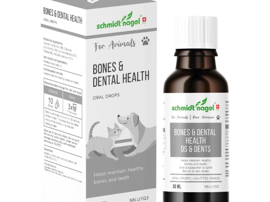 Bones and dental health for Animals