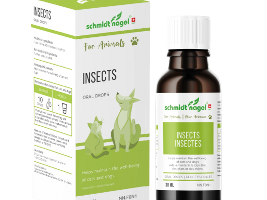 Insects for Animals