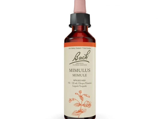 Bach flower remedy - Mimulus
