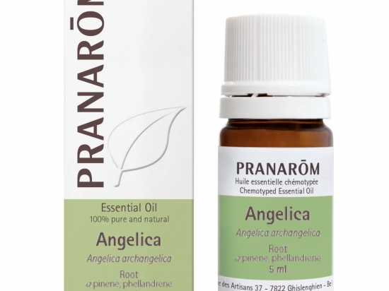 Angelica 5ml