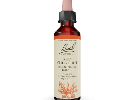 Bach flower remedy - Red Chestnut