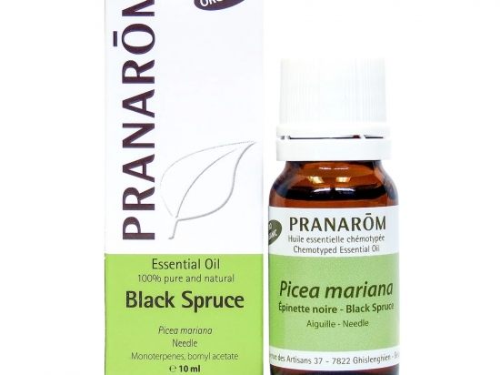Black Spruce 10ml
