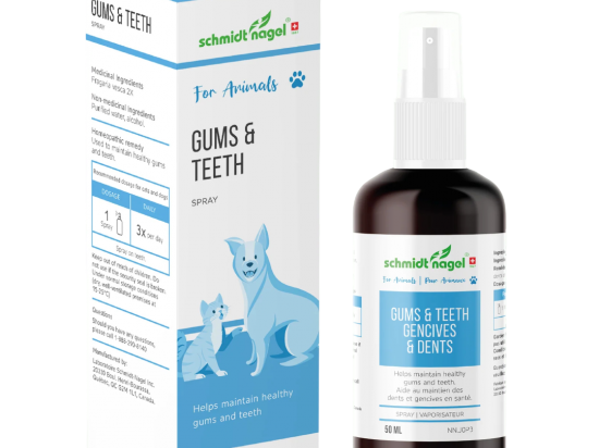 Gums & Teeth For Animals