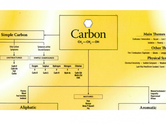Carbon Chart - Roger Morrison, 2006