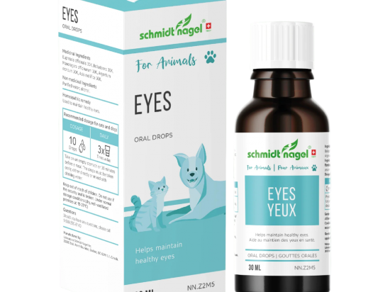 Eyes for Animals