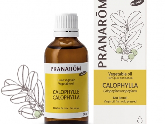 Calophylla Oil 50ml