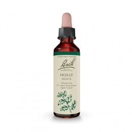 Bach flower remedy - Holly