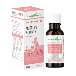 Muscles & joints for Animals