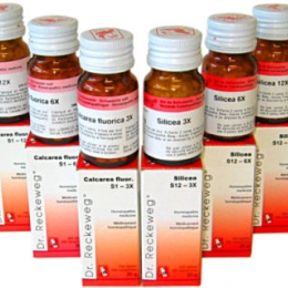 BIO 87 - Dr Reckeweg-30ml