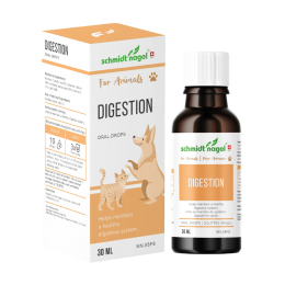 Digestion for Animals
