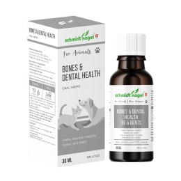 Bones and dental health for Animals