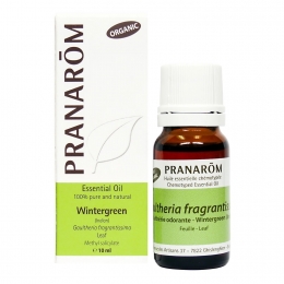 Gaultheria Fragrantissima (Wintergreen - Indian) 10ml
