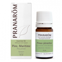 Pine, Maritime (turpentine) 10ml