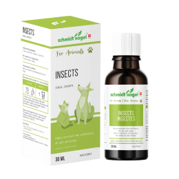 Insects for Animals