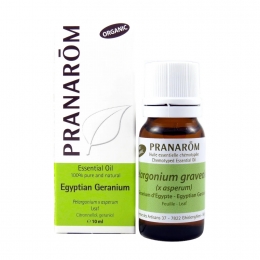 Egyptian Geranium 10ml