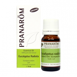 Eucalyptus Radiata 10ml