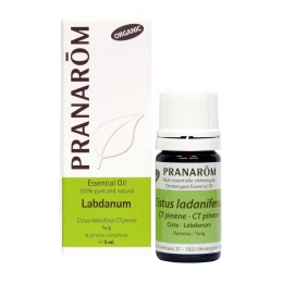 Labdanum 5ml