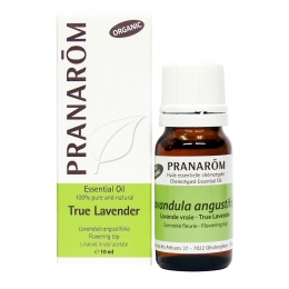True Lavender 10ml
