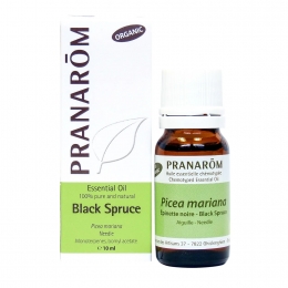 Black Spruce 10ml