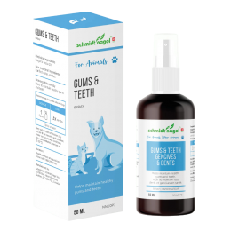 Gums & Teeth For Animals