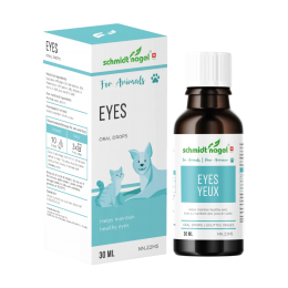 Eyes for Animals