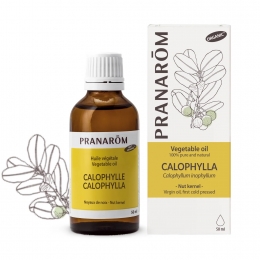 Calophylla Oil 50ml
